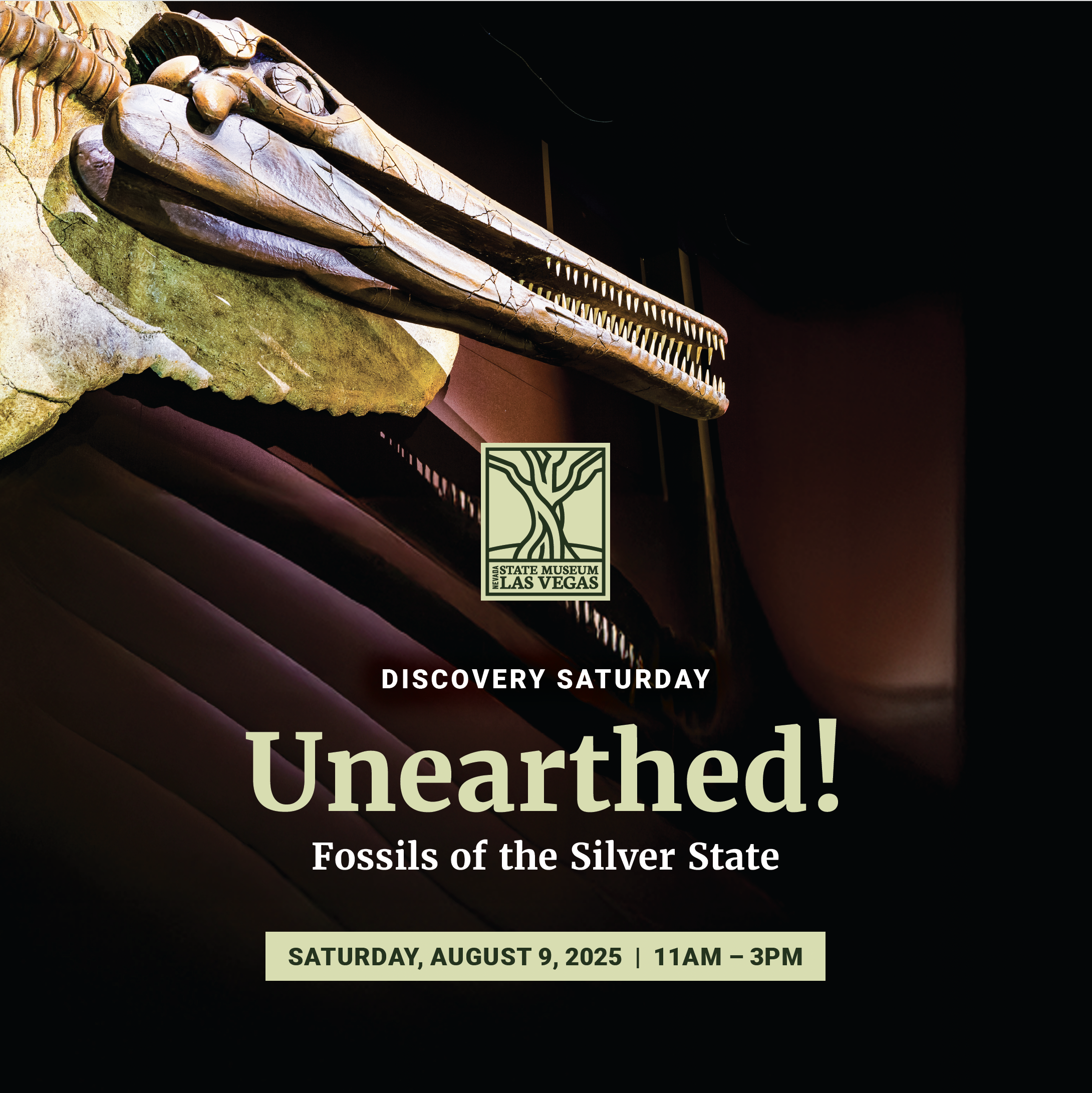 Unearthed! Fossils of the Silver State Saturday, August 9, 2025 11am – 3pm
